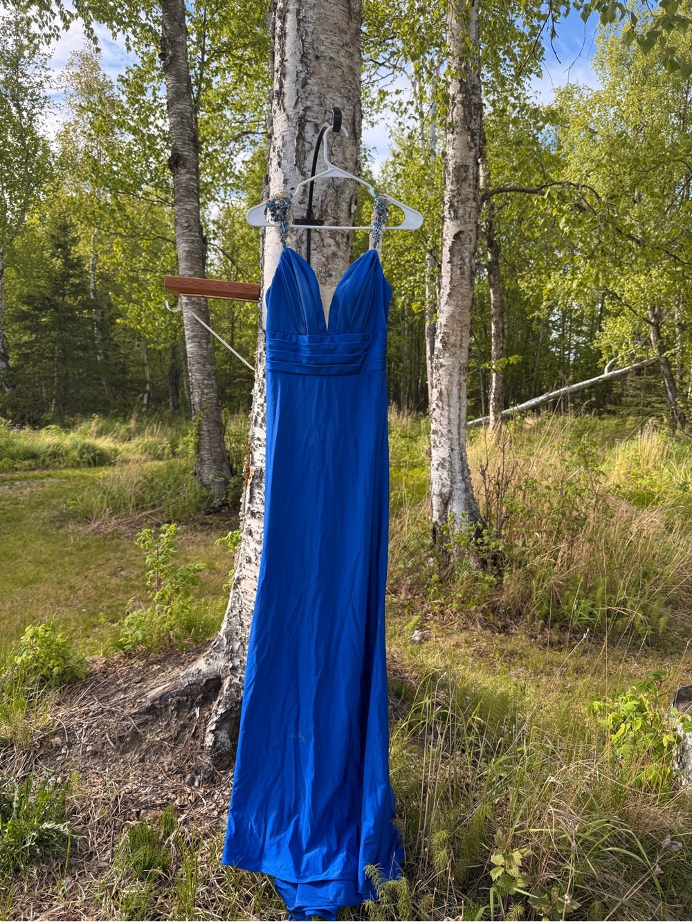 Terani Couture Royal Blue Evening Gown with Embellished Bodice